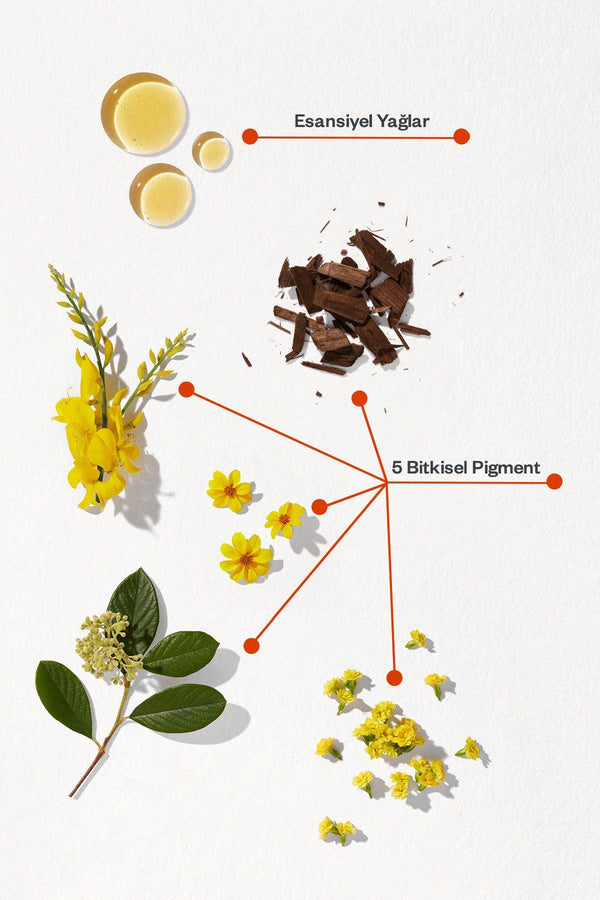 Phyto Phytocolor 9.3 Açık Sarı Dore Amonyaksız Kalıcı Bitkisel Saç Boyası